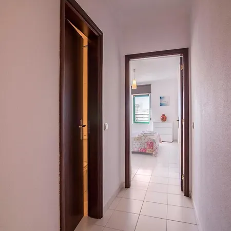 Viriatus Sol Da Rocha 803 * بورتيماو