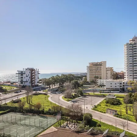 Viriatus Sol Da Rocha 803 *